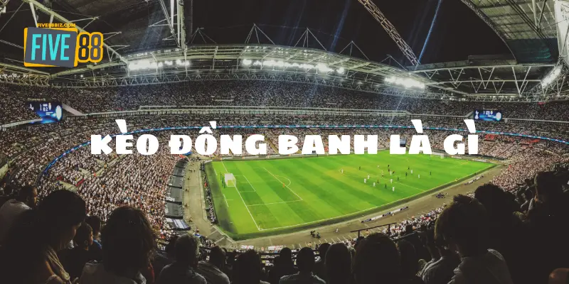 keo-dong-banh-la-gi