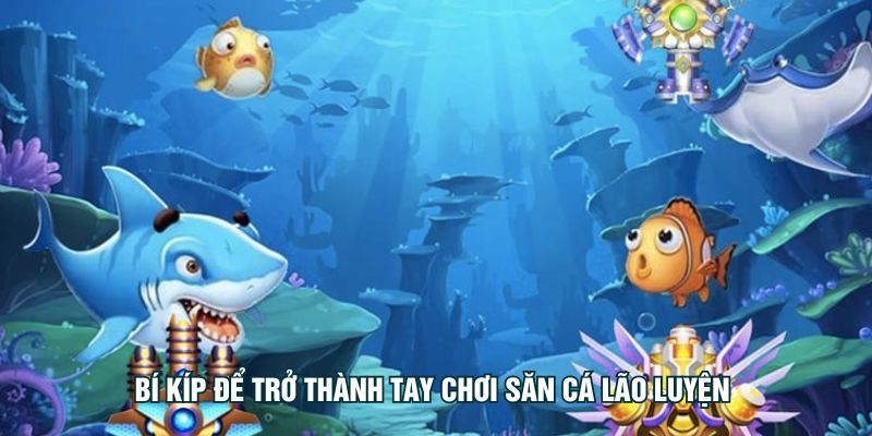 Bí kíp để trở thành tay chơi săn cá lão luyện