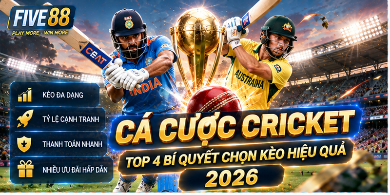 Cá Cược Cricket - Top 4 Bí Quyết Chọn Kèo Hiệu Quả 2026