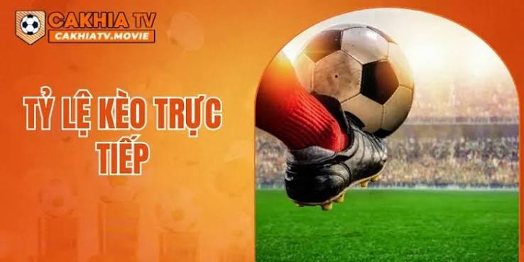 Kinh nghiệm phân tích kèo live từ chuyên gia