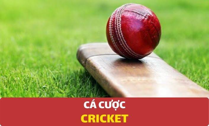 cá cược cricket